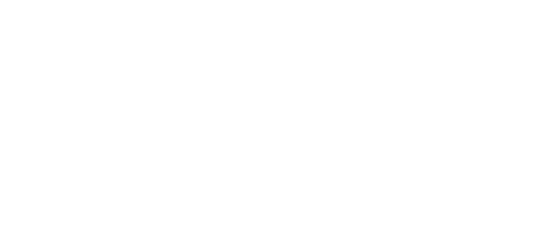 Šviesi atmintis